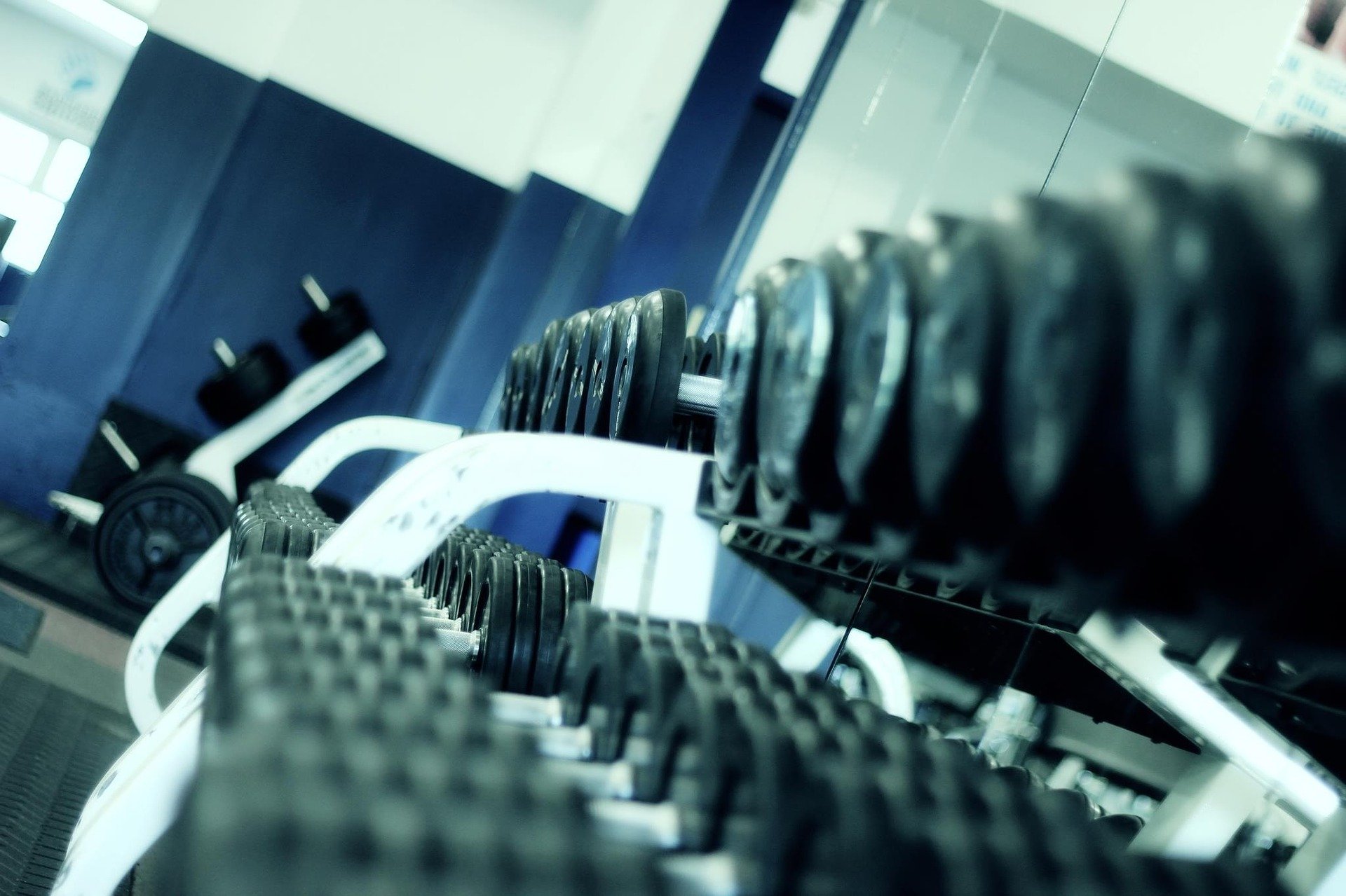 weight-lifting-1284616_1920