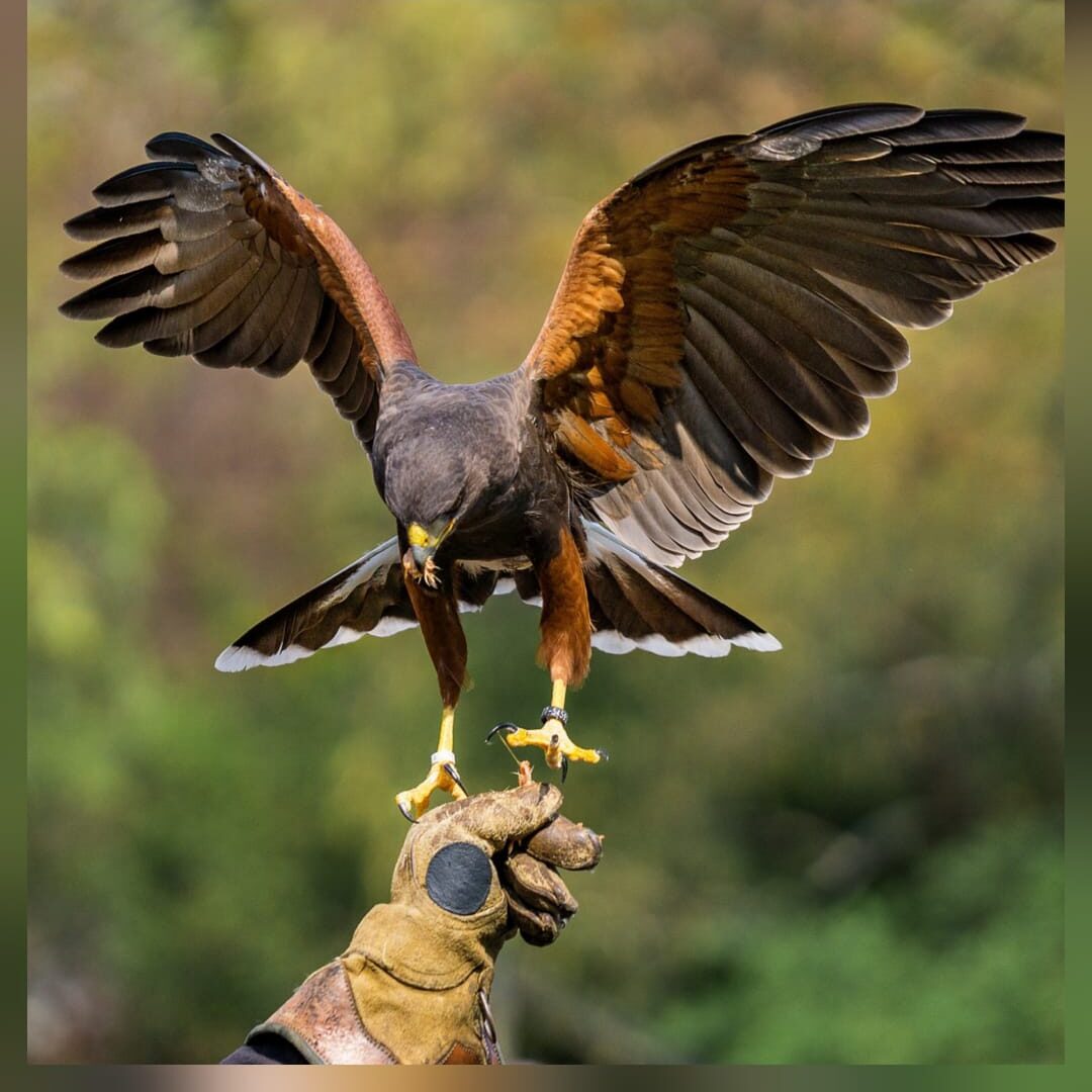 e23300c4-699e-4e01-a67b-126b58f8c691-aspect-ratio-1-1